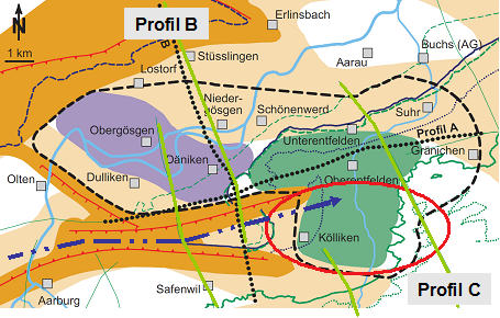 Figur 47-1: Übersichtsplan mit Faltenachse der Born-Engelberg-Antiklinale (blauer Pfeil) und der Lage der vorhandenen seismischen Linien (grüne Linien), Quelle: Nagra.