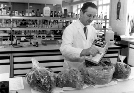 Der Basler Kantonschemiker Martin Schüpbach mit einem Oberflächenkontaminationsgerät bei der Überprüfung von Kopfsalat nach radioaktiver Bestrahlung. (KEYSTONE/Str/1990)